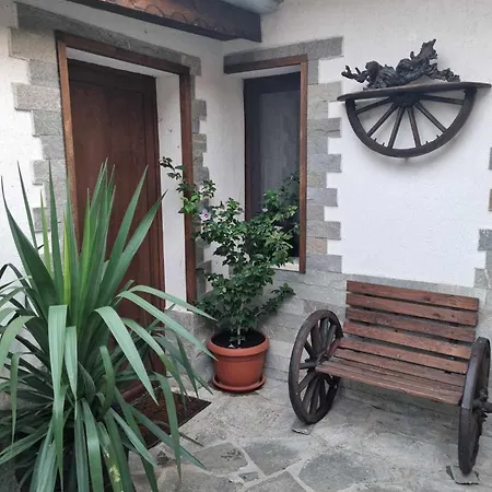 홀리데이파크 юлка *